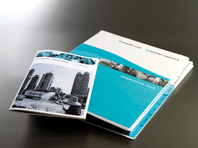 Portfolio Image