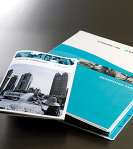 Portfolio images